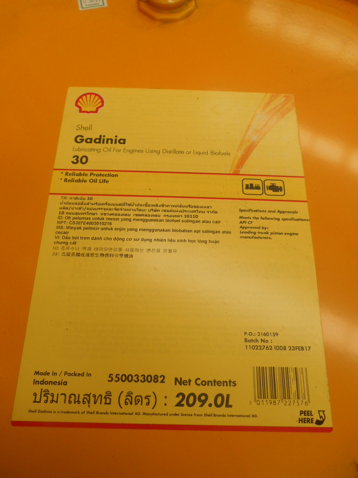 SHELL GADINIA 30